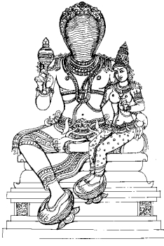 கோமேதகம், இராகு, Ragu, Neelam, Snake, Sarba Dosham, Kala Sarba  Dosham, Moon Nood, Eclipse, Lunar, Solor Eclipse, Grhanam, Hessonite,  கோமேதகம், இராகு, Lagnam, Raagu, Ketu, Ascending Nood, Descending  Nood,சர்ப தோஷம், கேது, Cats Eye, வைடூர்யம், இலக்னம், கிரஹணம், சாயகிரகம்,  