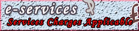 E_services charges