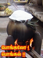 தை பொங்கல் படையல் உகந்த நேரம், தை பிறப்பு, தைதிருநாள், மாட்டுப்பொங்கல், ஜல்லிக்கட்டு, தமி.ழ் பஞ்சாங்கம், தணிகை பஞ்சாங்கம், மகர சங்கராந்தி பலன், தை பிறப்பு பலன்